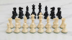 Magnetic Chessboard Set