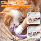 Cat Chew Toy With Silvervine Balls And Cotton Rope For Dental Care - Image 9