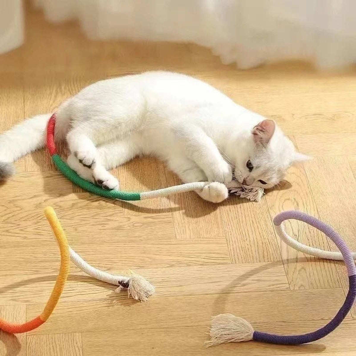 Cat Chew Toy With Silvervine Balls And Cotton Rope For Dental Care - Image 7