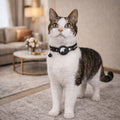 Cat GPS Collar With Reflective Trim And Safety Quick-Release Buckle For Curious Cats - Image 1