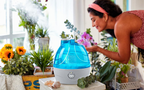 Cool Mist Humidifier With 2.2L Tank Adjustable Mist Levels And 360° Nozzle - Image 7