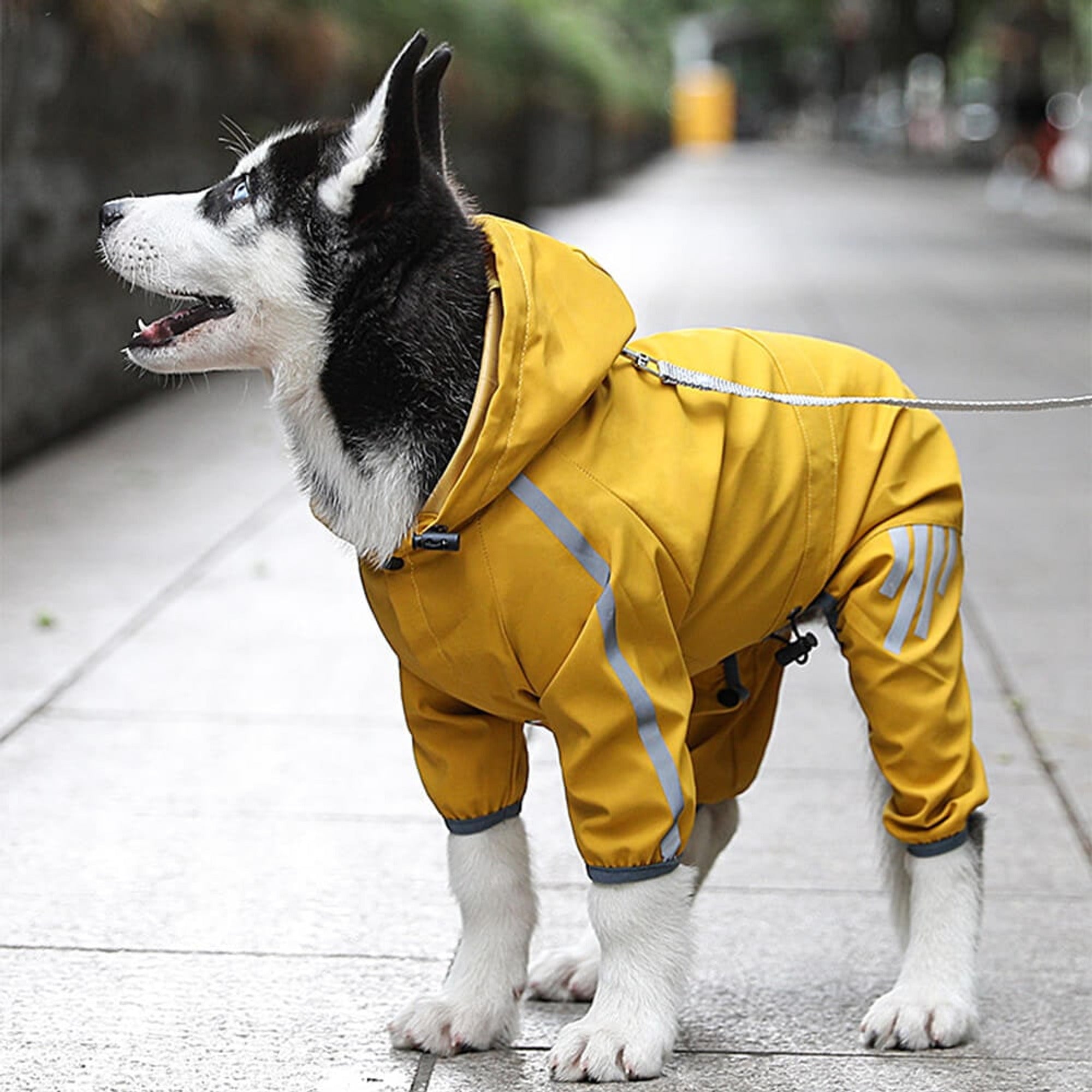 Dog Raincoat Adjustable Full-Body Suit Button-Front - Image 4