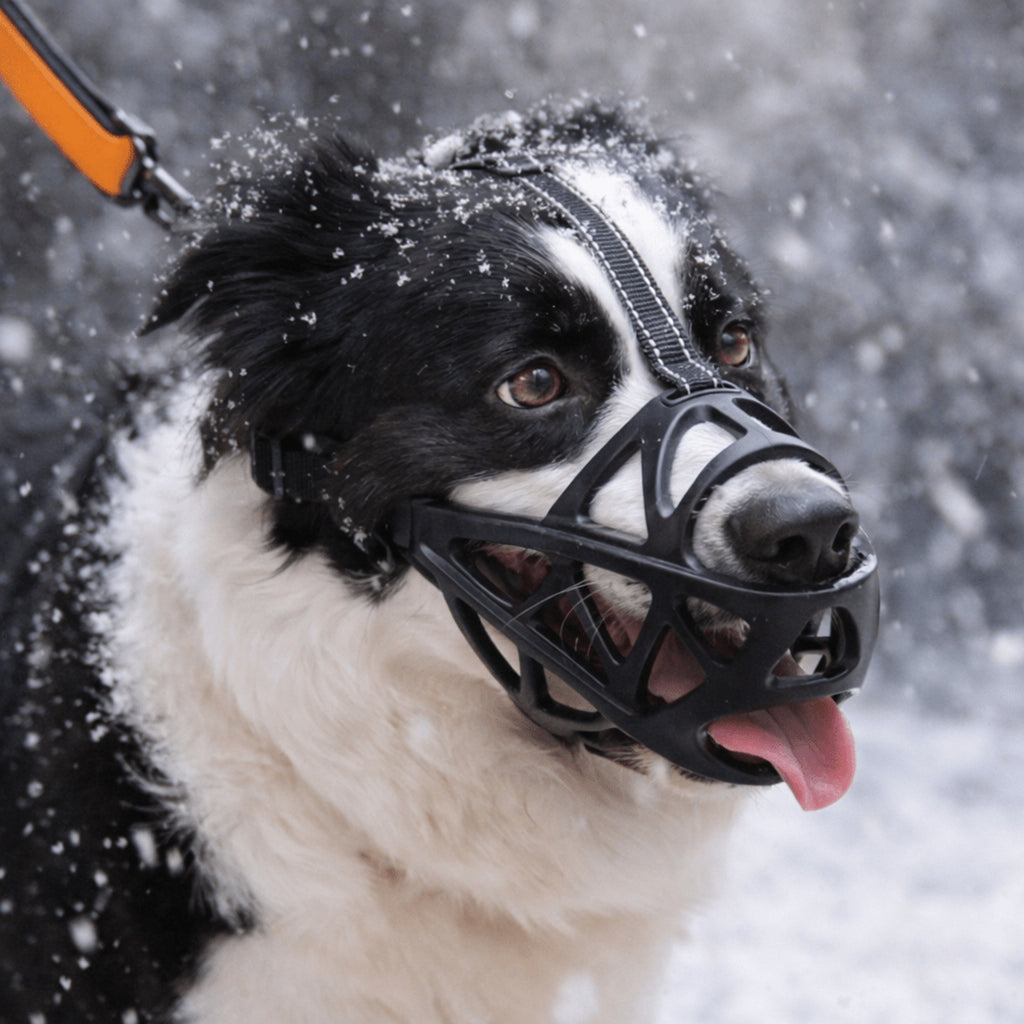 Dogora Gentle Dog Muzzle For Everyday Calm Control - Image 1