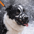 Dogora Gentle Dog Muzzle For Everyday Calm Control - Image 1