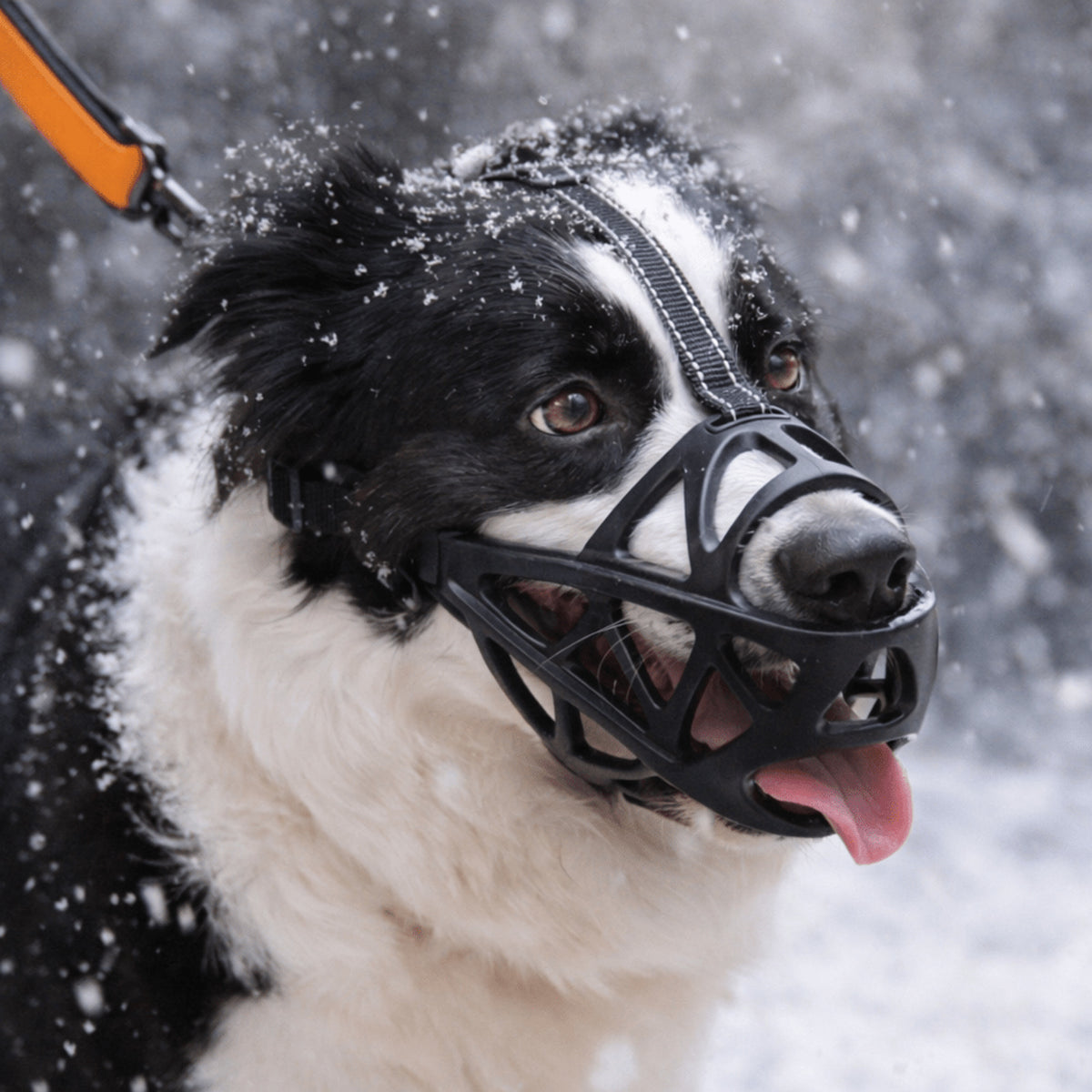 Dogora Gentle Dog Muzzle For Everyday Calm Control - Image 1