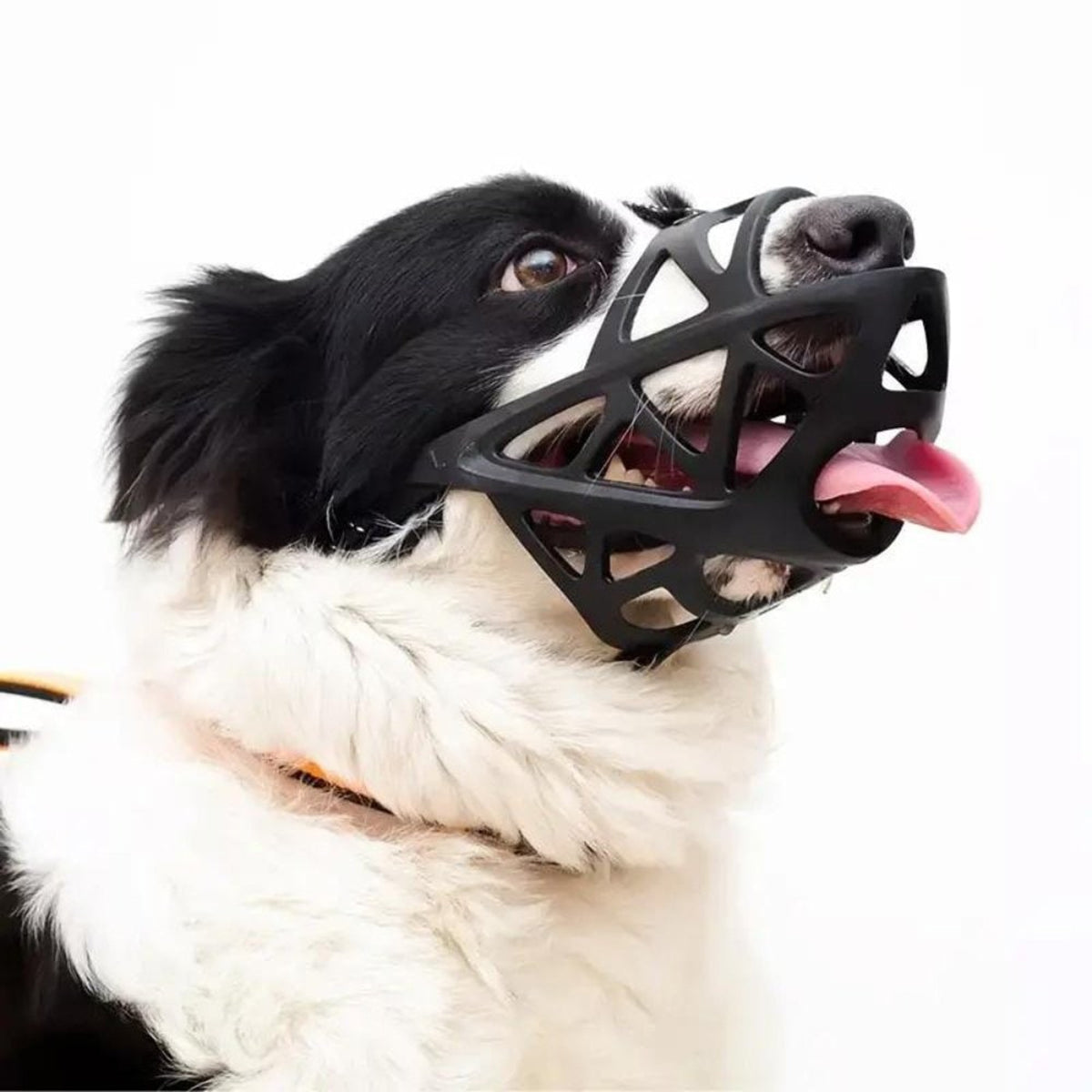 Dogora Gentle Dog Muzzle For Everyday Calm Control - Image 4