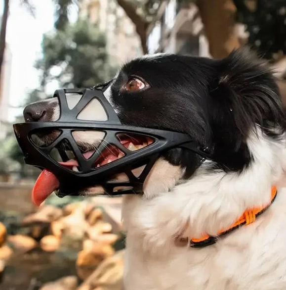 Dogora Gentle Dog Muzzle For Everyday Calm Control - Image 9