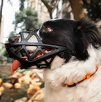Dogora Gentle Dog Muzzle For Everyday Calm Control - Image 9