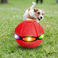 Flying Saucer Ball Dog Toy With Motion-Activated Flashing Light - Image 1