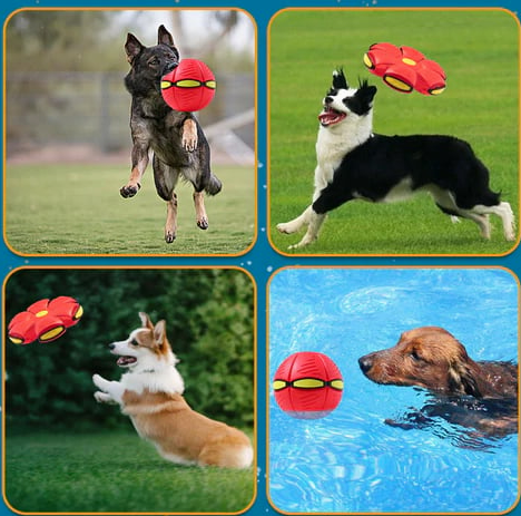 Flying Saucer Ball Dog Toy With Motion-Activated Flashing Light - Image 9