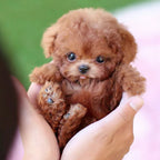 Interactive Robotic Puppy Lifelike Companion Toy With Touch And Voice Response - Image 3
