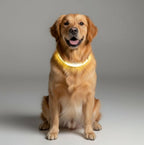 LED Dog Leash With USB Rechargeable Battery And Reflective Stitching - Image 9