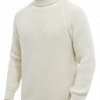 Men's Ribbed Knit Turtleneck Sweater Regular Fit Pullover With Classic Collar - studio