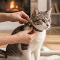 Meownav GPS Cat Tracker For Real-Time Location Monitoring - Image 1