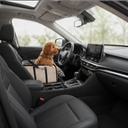 Non-Slip Padded Booster Dog Car Seat With Safety Clip - Image 6