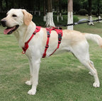 Nopull Dog Harness With Reflective Strips Escape-Proof For Safe Walks - Image 9