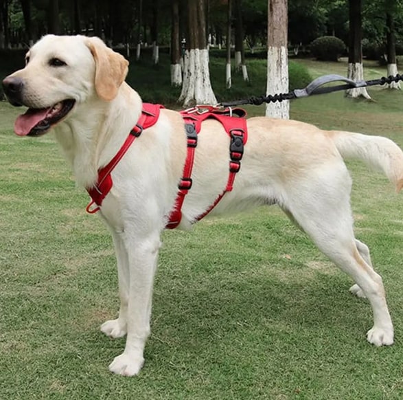 Nopull Dog Harness With Reflective Strips Escape-Proof For Safe Walks - Image 9