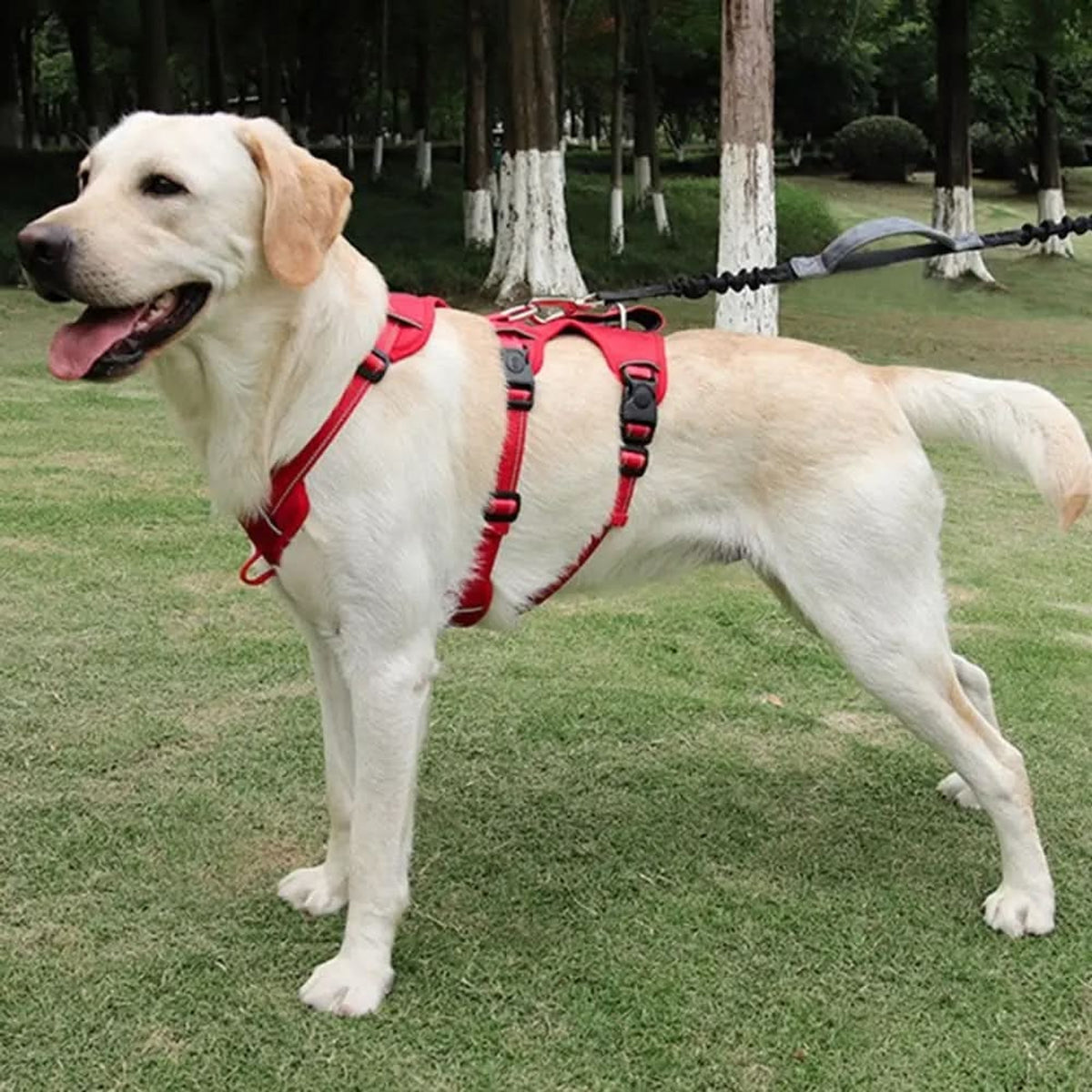 Nopull Dog Harness With Reflective Strips Escape-Proof For Safe Walks - Image 2