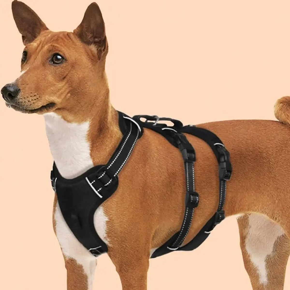 Nopull Dog Harness With Reflective Strips Escape-Proof For Safe Walks - Image 3