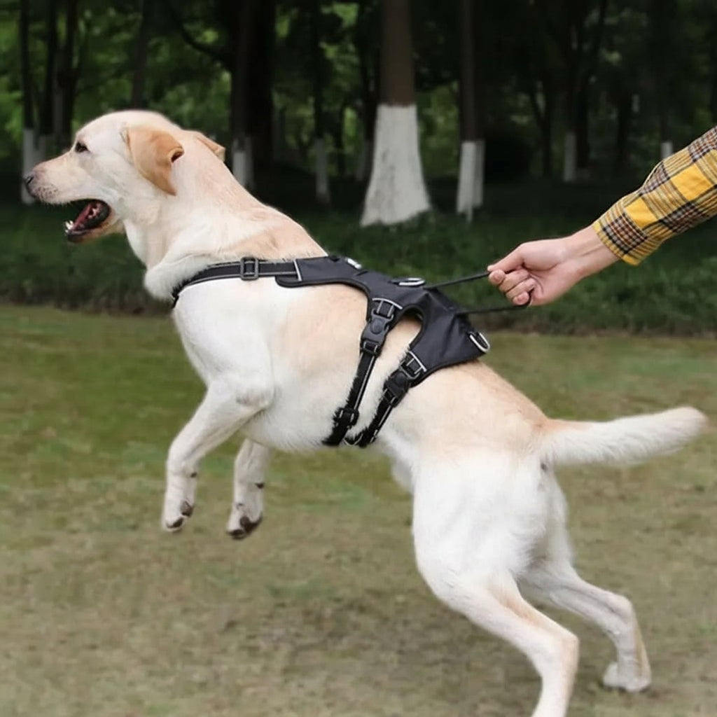 Nopull Dog Harness With Reflective Strips Escape-Proof For Safe Walks - Image 4