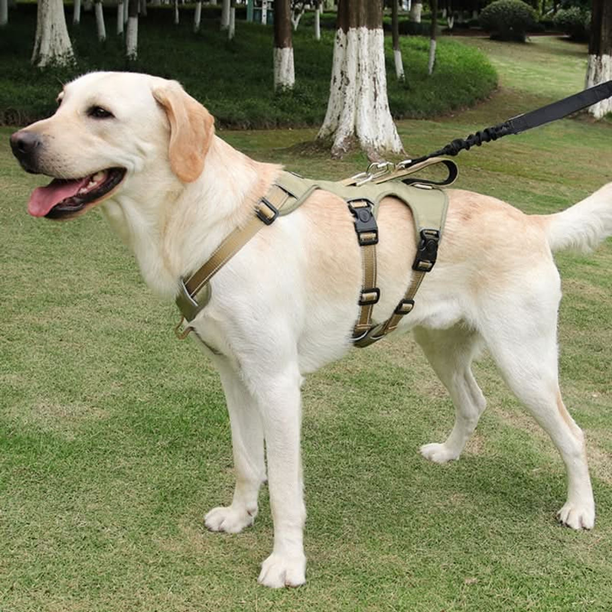 Nopull Dog Harness With Reflective Strips Escape-Proof For Safe Walks - Image 1