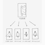 Playful Interactive Plastic Tissue Box Holder - Image 9