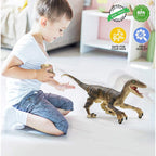 Remote Control T-Rex Dinosaur Toy With Realistic Roars Lights And Interactive Walking Action - Image 7