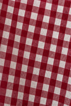 Ruffle Collar Blouse with Relaxed Fit and Checked Pattern - Image 9