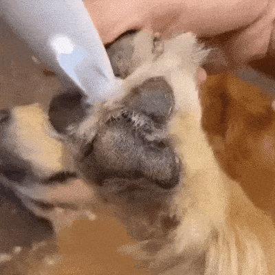 Silent Pet Trimmer For Dogs And Cats Quiet Hair Clipper For Sensitive Areas - Image 9