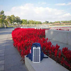 Solar Panel Charger With Portable USB Battery Waterproof And Ultra-Thin Design - Image 2
