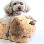 Soothing Plush Toy With Heartbeat For Puppies - Image 3