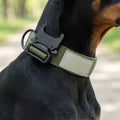 Tactical Dog Collar With Padded Interior And Integrated Control Handle For Training - Image 2