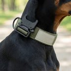 Tactical Dog Collar With Padded Interior And Integrated Control Handle For Training - Image 2