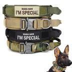 Tactical Dog Collar With Padded Interior And Integrated Control Handle For Training - Image 9