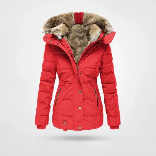 Winter Jacket with Water-Resistant Puffer Design and Detachable Hood - Image 4